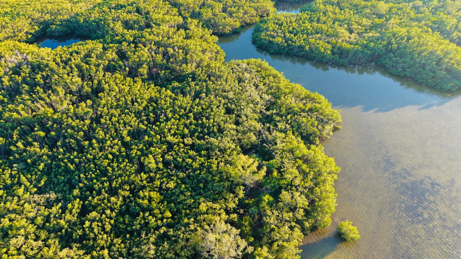 A Excelência Científica no Coração da Floresta